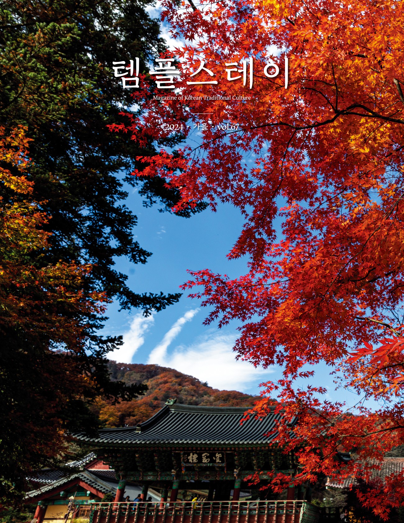 페이지