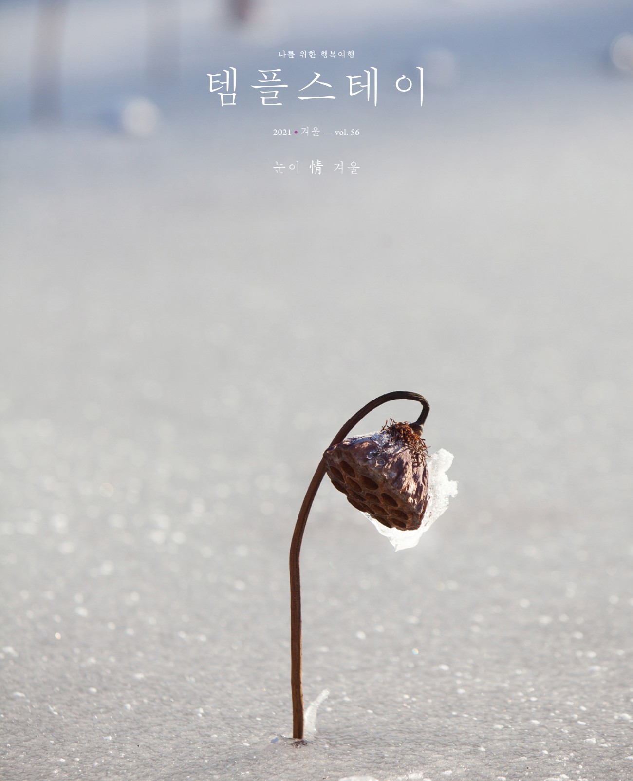 페이지